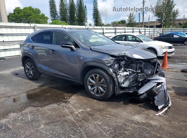 JTJSARBZ2M2181101 2021 LEXUS NX Gray 