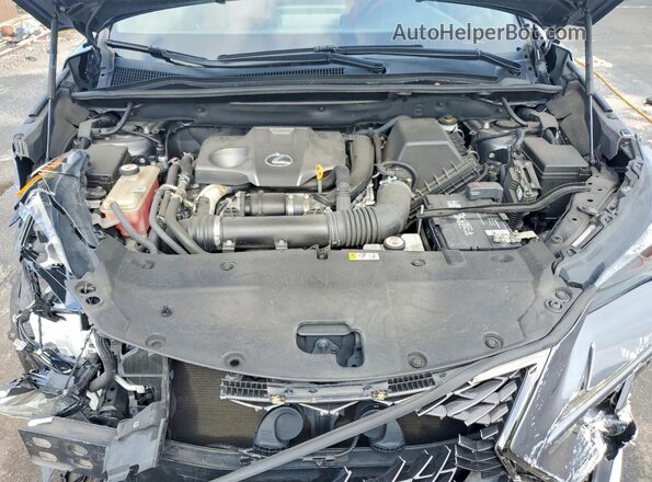 JTJSARBZ2M2181101 2021 LEXUS NX Gray 