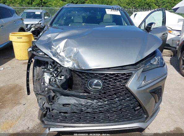 JTJSARBZ2M5022187 2021 LEXUS NX 300 Серебряный Вид сзади