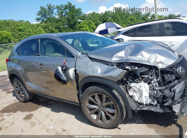 JTJSARBZ2M5022187 2021 LEXUS NX 300 Серебряный Вид задней части салона