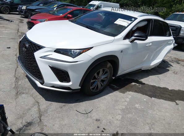 JTJSARBZ3M5029276 2021 LEXUS NX 300 White Vista tres cuartos delantera izquierda