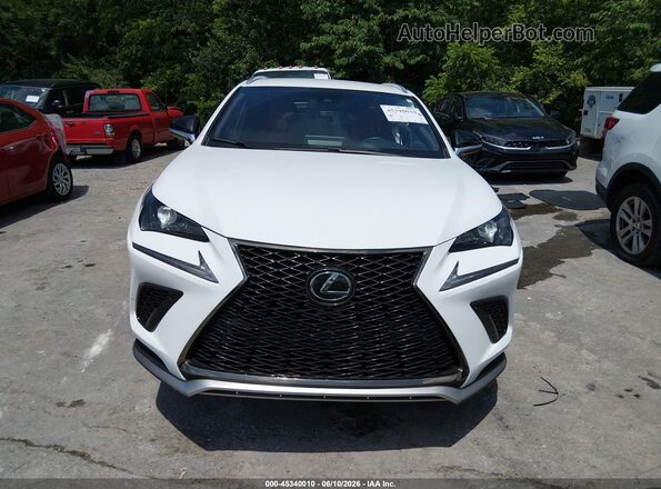 JTJSARBZ3M5029276 2021 LEXUS NX 300 White Vista del cuadro de instrumentos