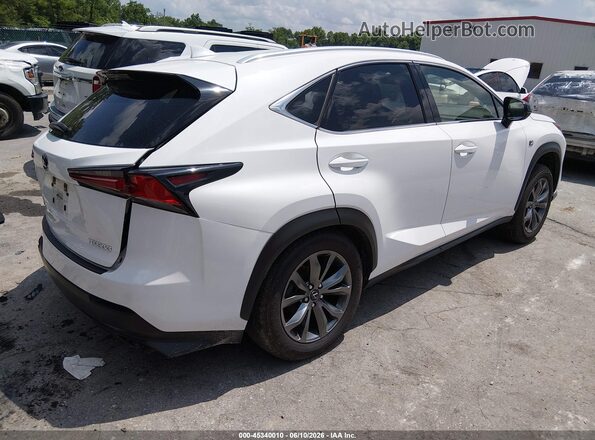 JTJSARBZ3M5029276 2021 LEXUS NX 300 White Trasero derecho