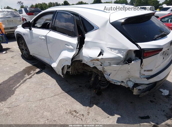 JTJSARBZ3M5029276 2021 LEXUS NX 300 White Vista frontal