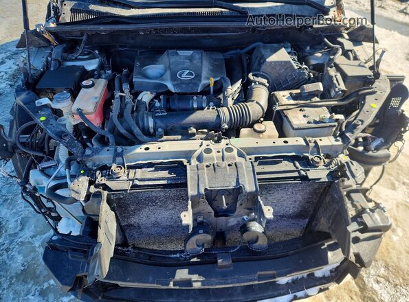 JTJSARBZXL5004146 2020 LEXUS NX Gray 
