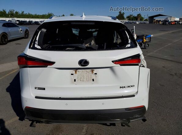 JTJSARBZXM2200512 2021 LEXUS NX White Հետևի տեսք