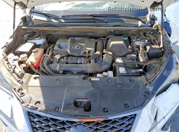 JTJSARBZXM2200512 2021 LEXUS NX White Սալոնի հետևի տեսք
