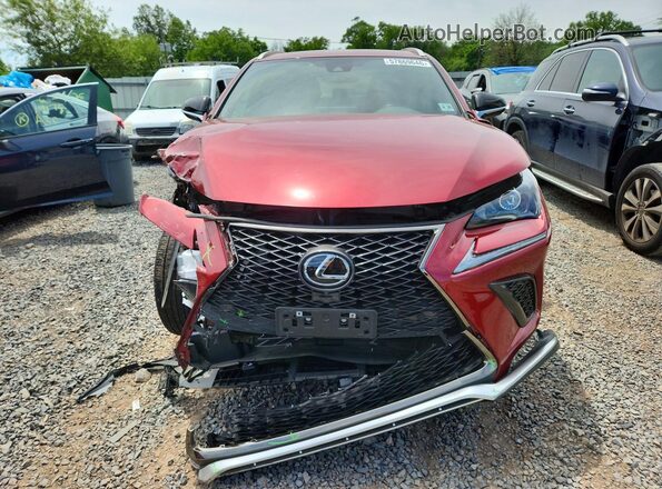 JTJSARDZ5M2259691 2021 LEXUS NX Red Widok z przodu