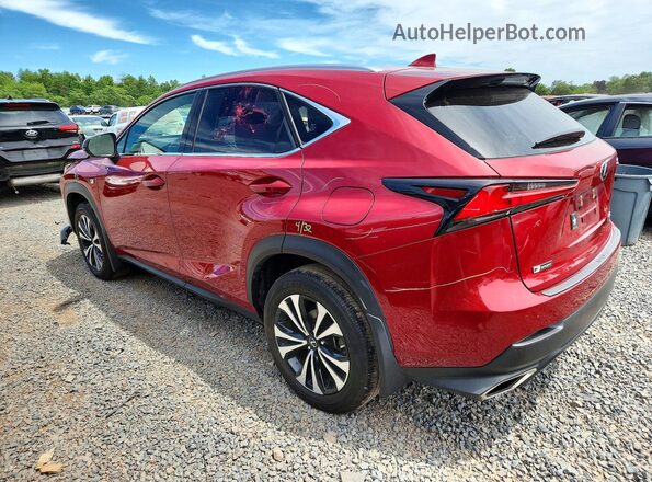 JTJSARDZ5M2259691 2021 LEXUS NX Red Tył lewy