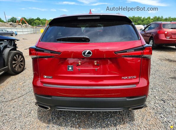 JTJSARDZ5M2259691 2021 LEXUS NX Red Widok z tyłu