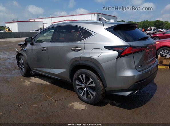 JTJSARDZ7L5002948 2020 LEXUS NX 300 Silver Rear left