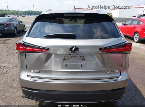 JTJSARDZ7L5002948 2020 LEXUS NX 300 Silver 