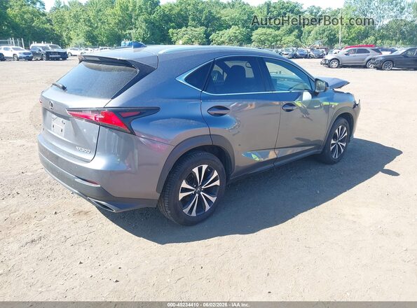 JTJSARDZ7M2261152 2021 LEXUS NX Gray Tył prawy