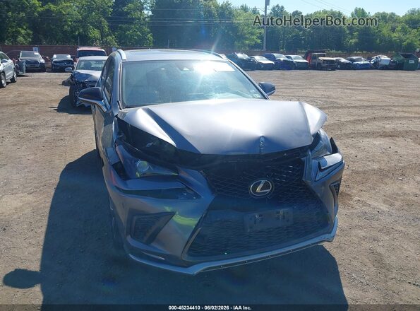 JTJSARDZ7M2261152 2021 LEXUS NX Gray 
