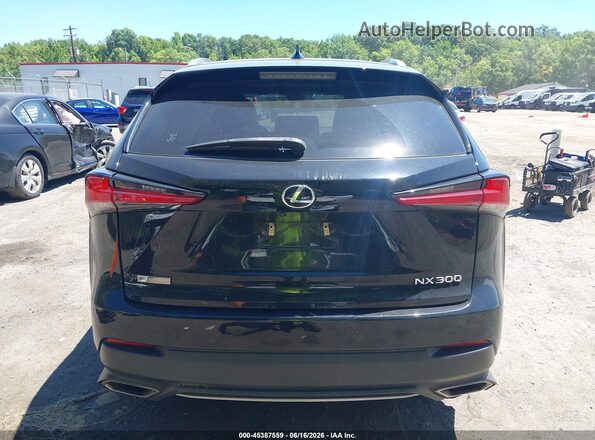 JTJSARDZ8M2242349 2021 LEXUS NX 300 Black 