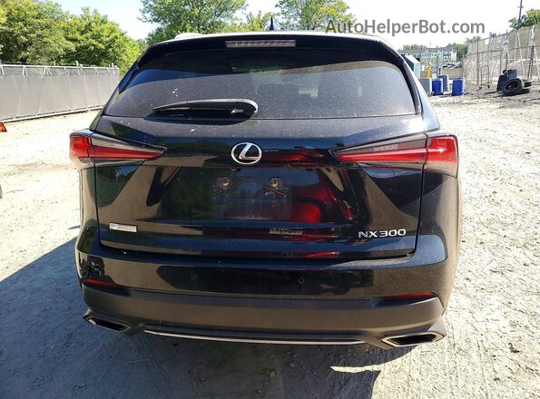 JTJSARDZ9L2222402 2020 LEXUS NX Black Вид ззаду