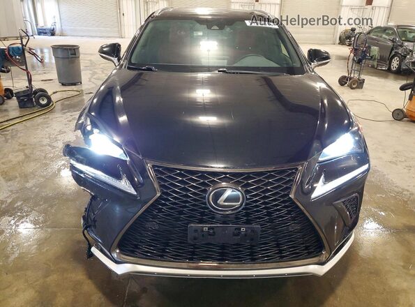 JTJSARDZXM2252669 2021 LEXUS NX Black Դիմացի տեսք