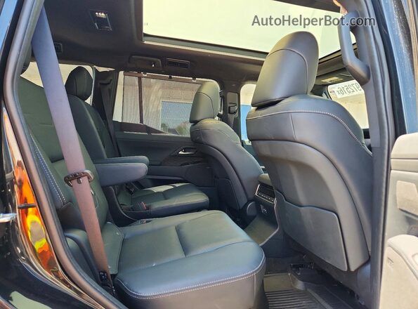 JTJVBCDX0S5041787 2025 LEXUS GX Black Vista interior trasera