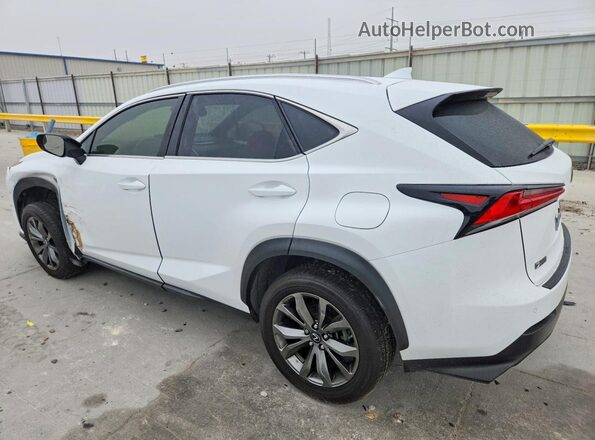 JTJYARBZ2K2142208 2019 LEXUS NX300 White 
