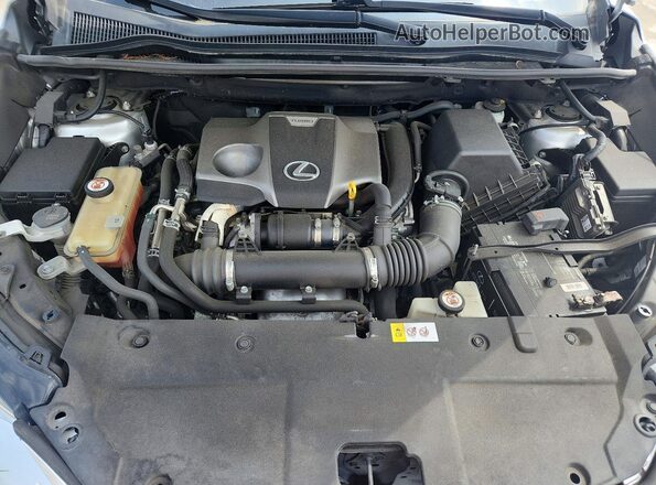 JTJYARBZ3H2078866 2017 LEXUS NX Silver Սալոնի հետևի տեսք