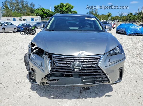 JTJYARBZ3K2134182 2019 LEXUS NX Gray Դիմացի տեսք