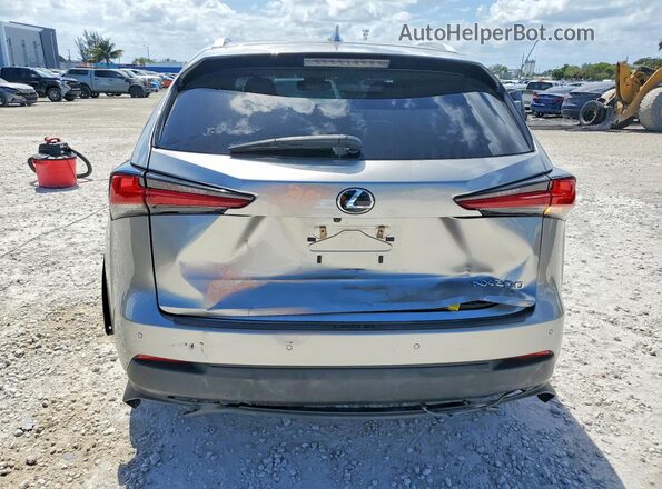 JTJYARBZ3K2134182 2019 LEXUS NX Gray Հետևի տեսք
