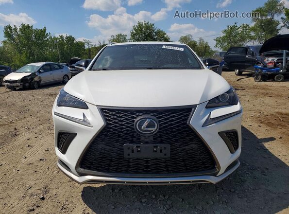 JTJYARBZ3K2143075 2019 LEXUS NX White Widok z przodu
