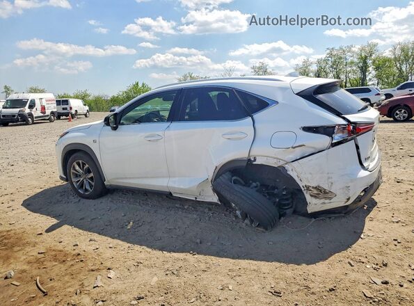 JTJYARBZ3K2143075 2019 LEXUS NX White Tył lewy