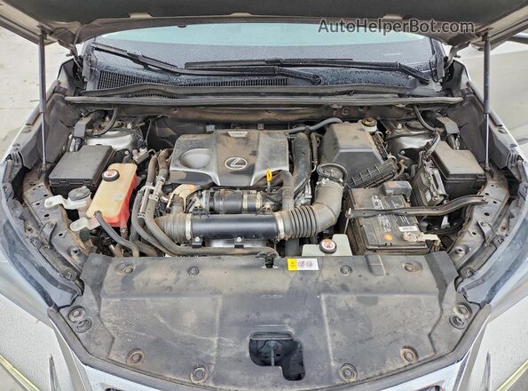 JTJYARBZ4H2080609 2017 LEXUS NX Серебряный Вид задней части салона