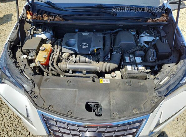 JTJYARBZ4K2129167 2019 LEXUS NX White Շարժիչի բաժամունքի տեսք