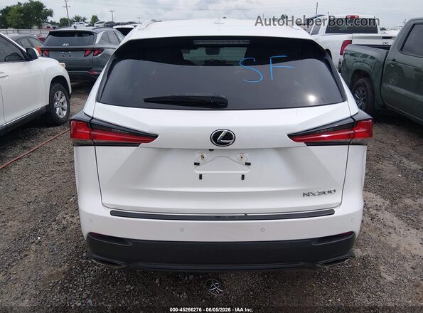 JTJYARBZ4K2142243 2019 LEXUS NX 300 White 
