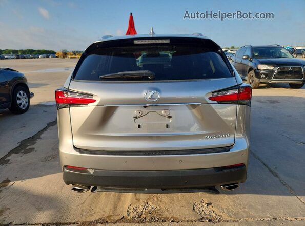 JTJYARBZ5H2064905 2017 LEXUS NX Gray უკანა ხედი