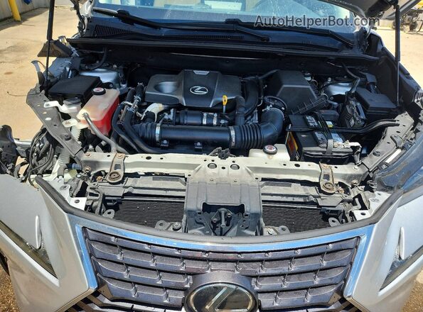 JTJYARBZ5K2120252 2019 LEXUS NX Silver Շարժիչի բաժամունքի տեսք