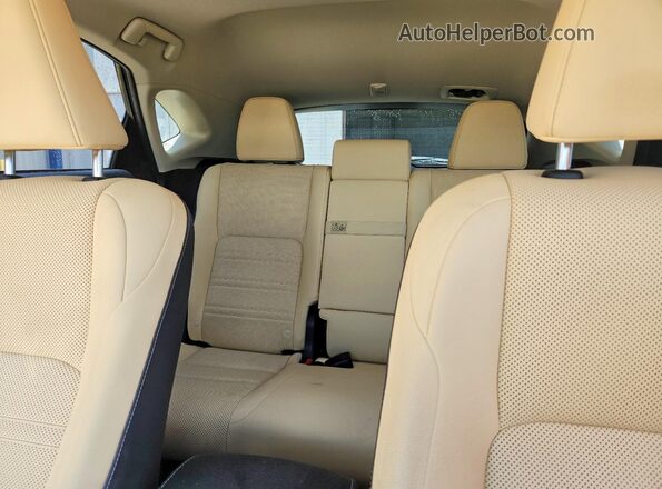 JTJYARBZ5K2120252 2019 LEXUS NX Silver Հետևի նստատեղերի տեսք