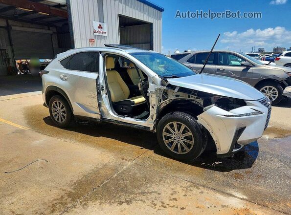 JTJYARBZ5K2120252 2019 LEXUS NX Silver Առջևի աջ