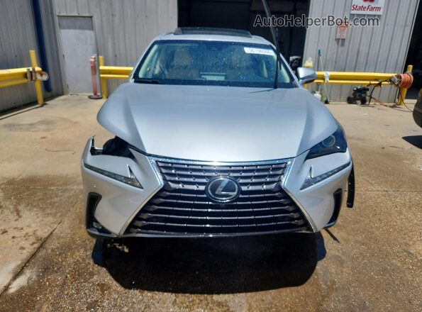 JTJYARBZ5K2120252 2019 LEXUS NX Silver Դիմացի տեսք