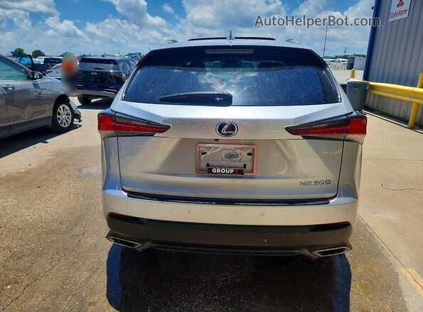 JTJYARBZ5K2120252 2019 LEXUS NX Silver Հետևի տեսք