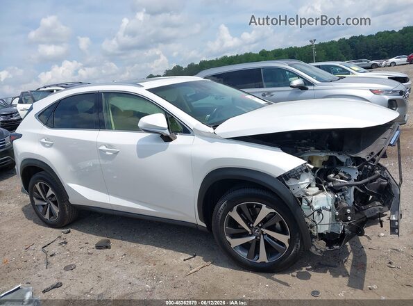 JTJYARBZ5K2127069 2019 LEXUS NX 300 White Vista interior de 360 grados