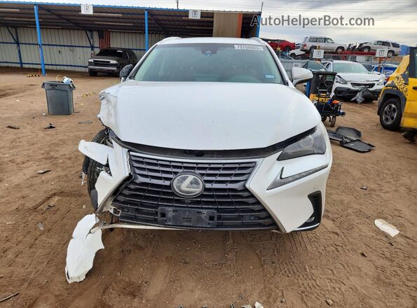 JTJYARBZ5K2157107 2019 LEXUS NX Белый Вид спереди