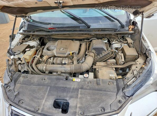 JTJYARBZ5K2157107 2019 LEXUS NX Белый Вид задней части салона