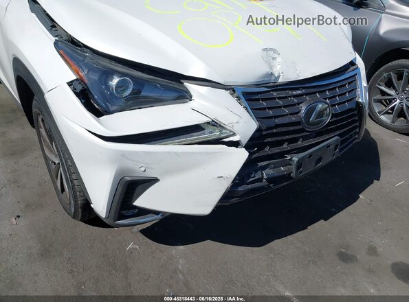 JTJYARBZ7J2094199 2018 LEXUS NX 300 White Դիմացի տեսք