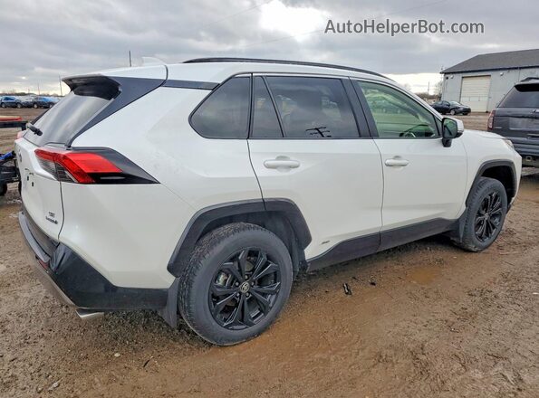 JTM16RFV1PD546657 2023 TOYOTA RAV4 White Tył prawy