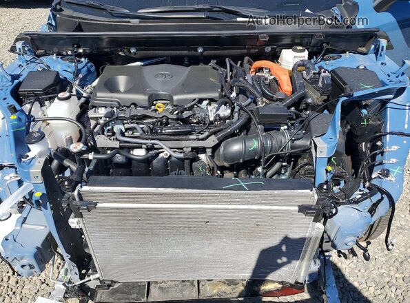 JTM16RFVXRD550290 2024 TOYOTA RAV4 Blue 