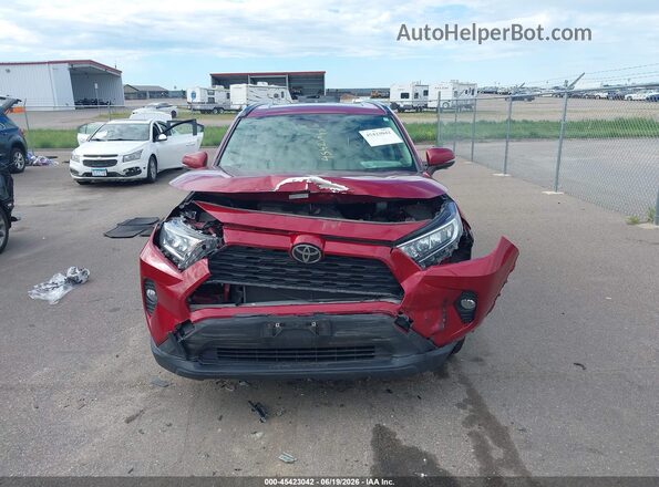 JTMA1RFV3LJ035719 2020 TOYOTA RAV4 Red Вид задньої частини салону