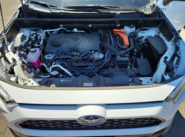 JTMAB3FV0PD154293 2023 TOYOTA RAV4 Белый Вид задней части салона