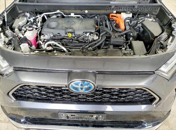 JTMAB3FV1PD125904 2023 TOYOTA RAV4 Gray 