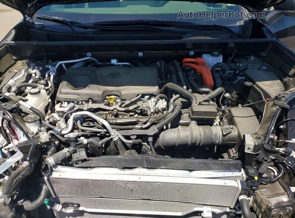 JTMAB3FV3PD137813 2023 TOYOTA RAV4 Black 