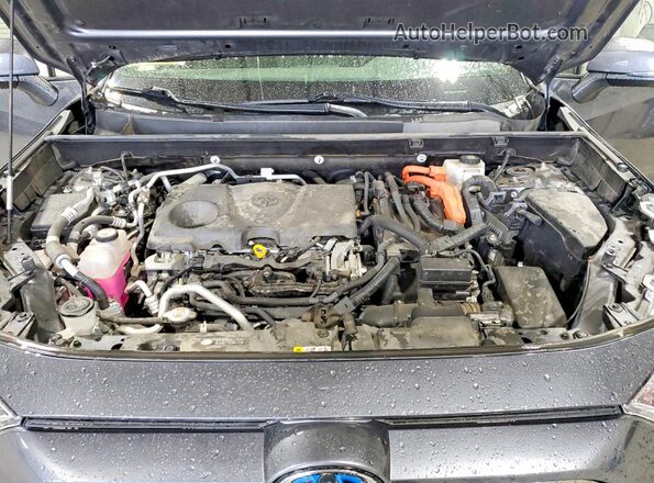 JTMAB3FV8MD067205 2021 TOYOTA RAV4 Charcoal Սալոնի հետևի տեսք
