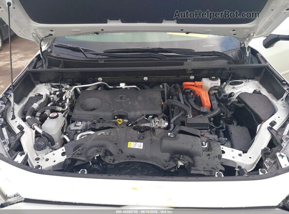 JTMAB3FVXSD246942 2025 TOYOTA RAV4 PLUG-IN HYBRID White Widok z tyłu