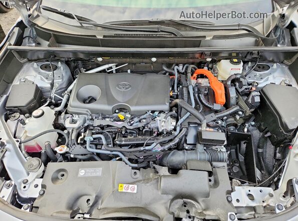 JTMB6RFV2SD157877 2025 TOYOTA RAV4 Silver 